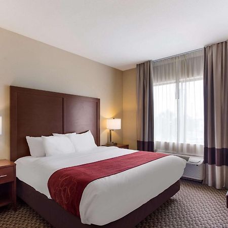 Comfort Suites North Mobile Saraland Bagian luar foto
